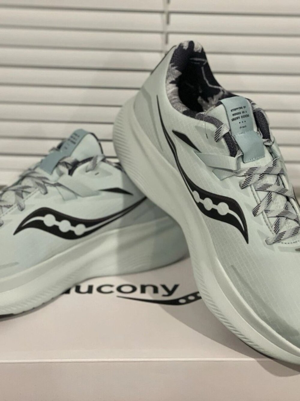 Saucony Ride 15 Runshield Winter Miles Pack - Promises W10.5/M9